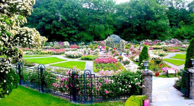 Peggy_Rockefeller_Rose_Garden_NYBG_jeh