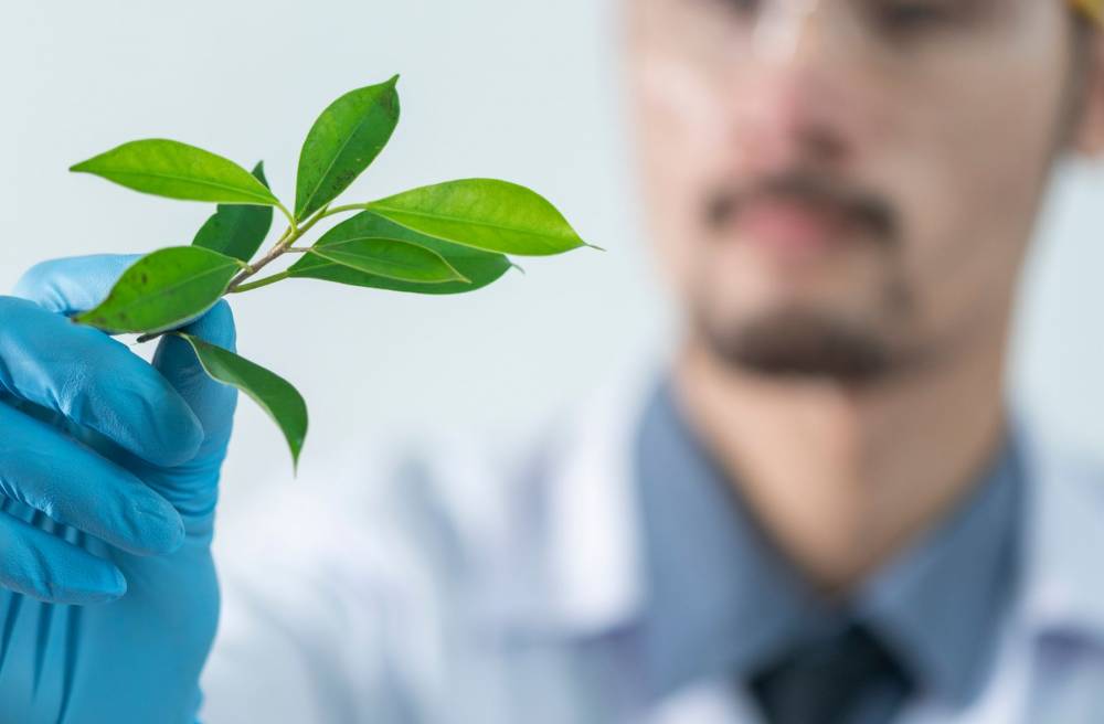REG 510 - Introduction to Botanical Products Regulatory Affairs and Compliance