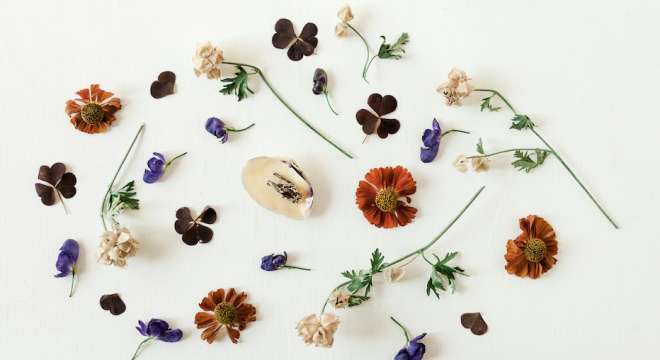 Small-colorful-flowers-and-leaves-are-arranged-on-a-white-table-1