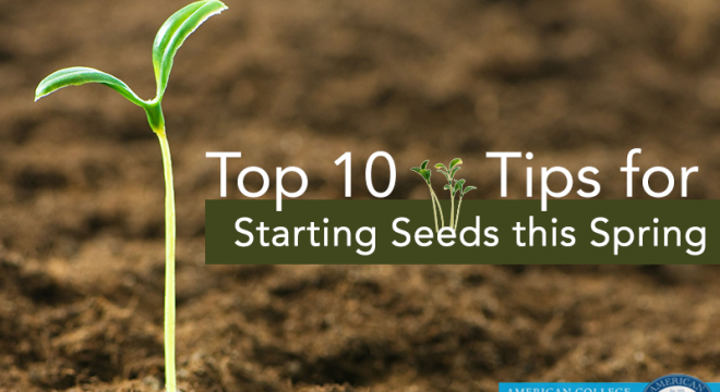 TopTenTipsForStartingSeedsv2