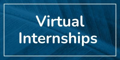 Virtual Internships