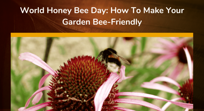 World Honey Bee Day_ How To Make Your Garden Bee-Friendly