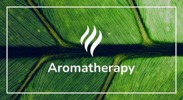 aromatherapy-730x400