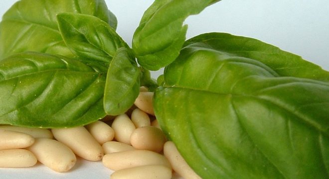 image of basil leaves and whole pieces of garlic together on a table