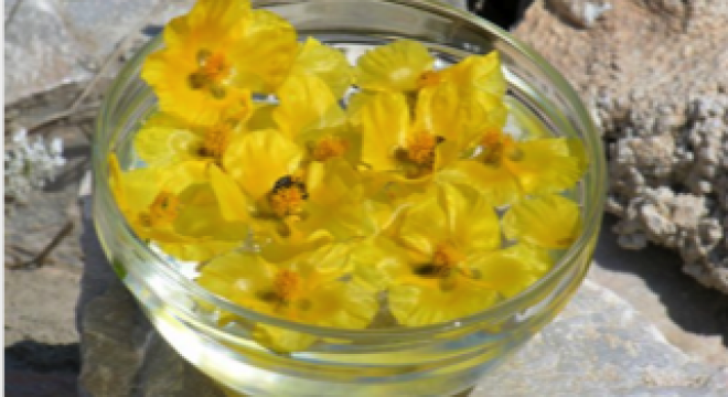 yellow flowers float in a clear glass bowl filled with clear liquid, a step in creating your own flower essences