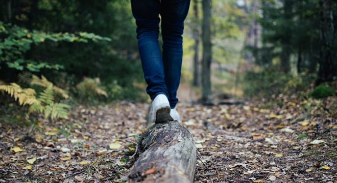 forest-walk-public-domain