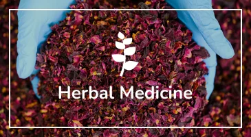 herbal-medicine-730x400