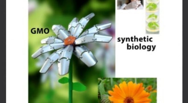 an image collage showing natural versus synthetic biology including representing GMO as a flower with metal petals