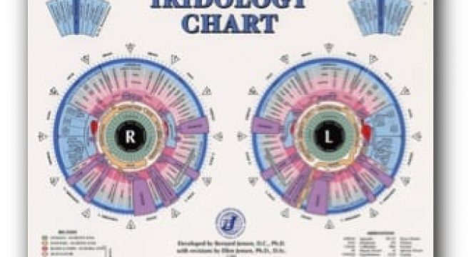iridology_chart