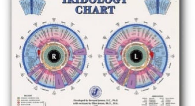 image of an iridology chart