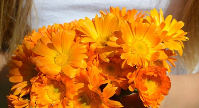 kimberly-konkel-calendula-bouquet