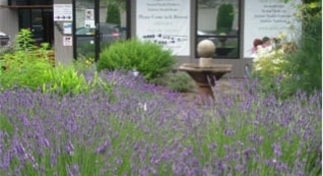 image of lavender bushes in front of a building