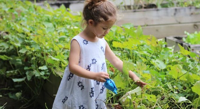 little-girl-in-garden-1