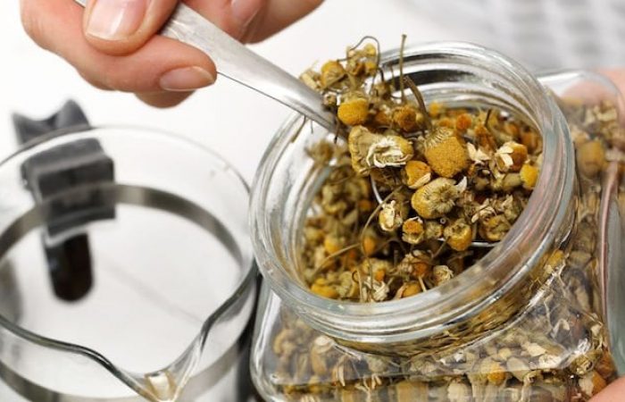 practicing herbalist.jpg