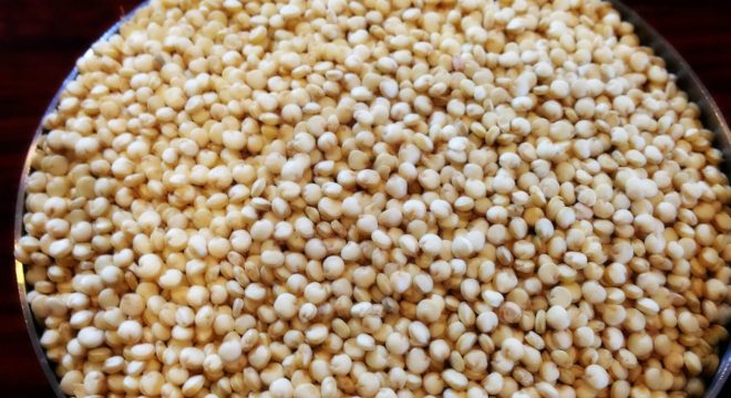 quinoa_raw_yigzaw_picmonkey_small
