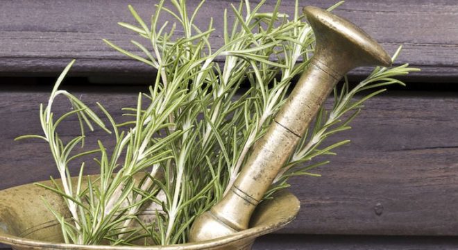 43875173 - rosemary herb.mortar and pestle with fresh rosemary