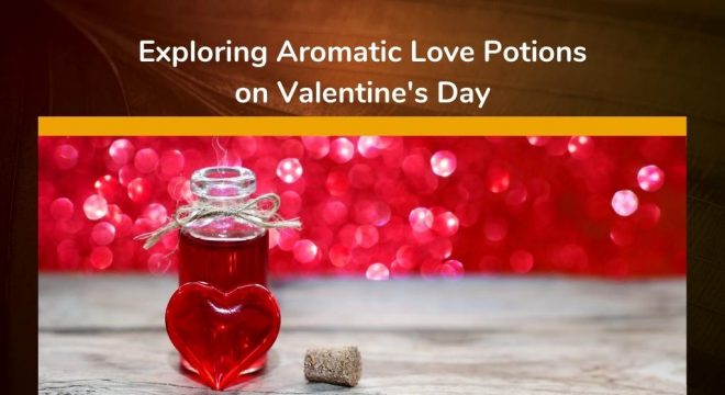 valentines-love-potions